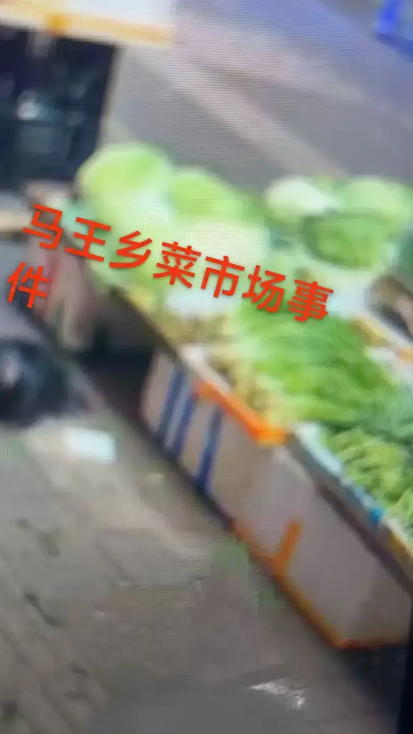 《重庆大渡口马王乡菜市场事件》-资源截图