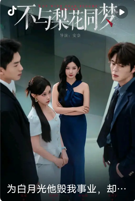 《不与梨花同梦》-资源截图