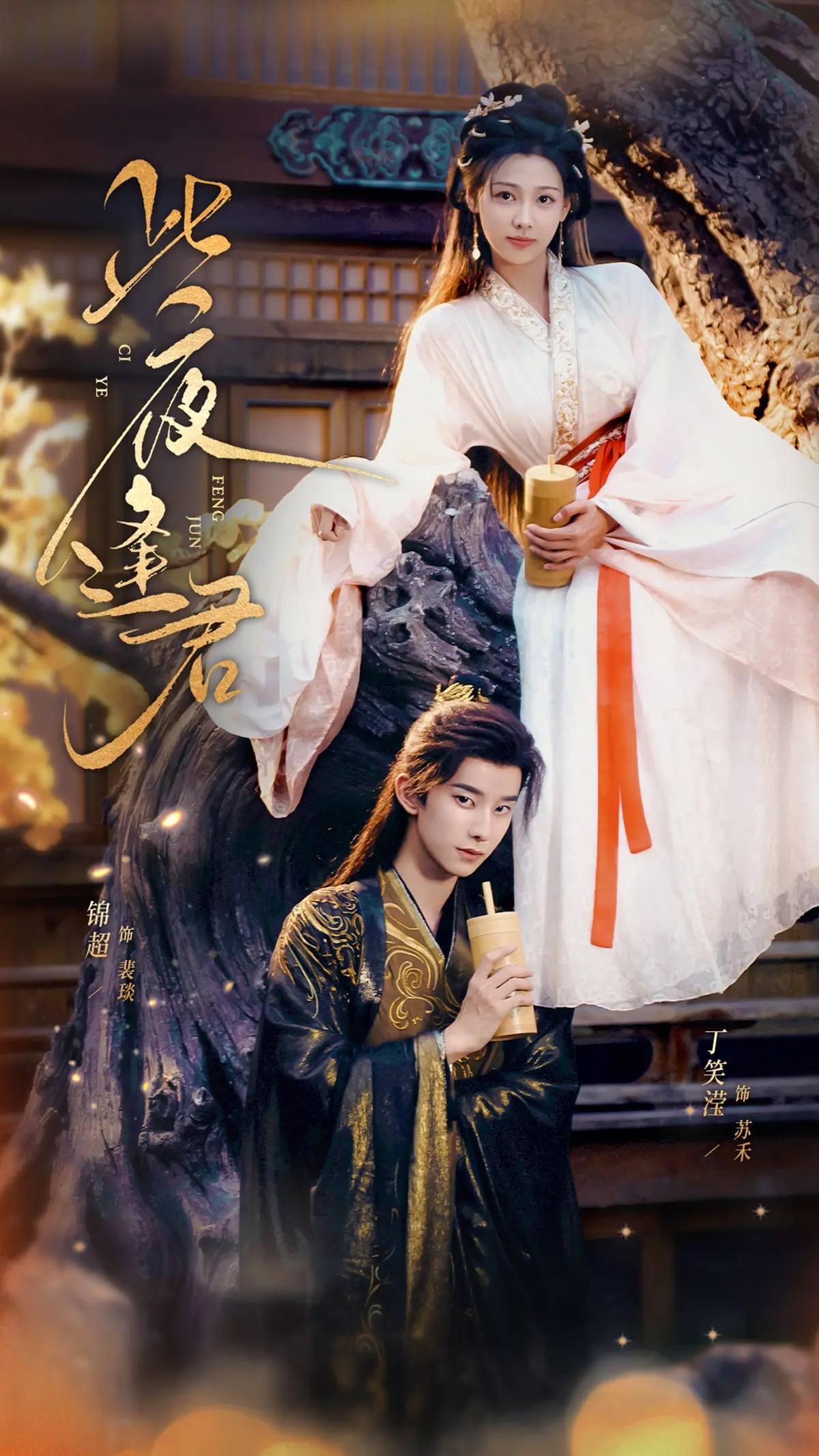 《此夜逢君》-资源截图