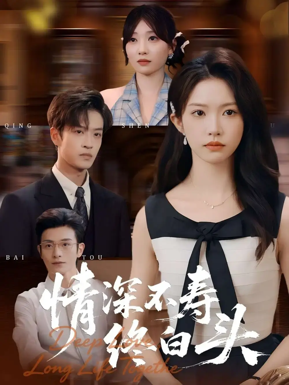 《情深不寿终白头》-资源截图