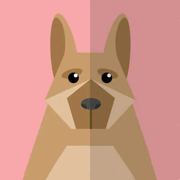 《风控时分AirMoment》-资源截图