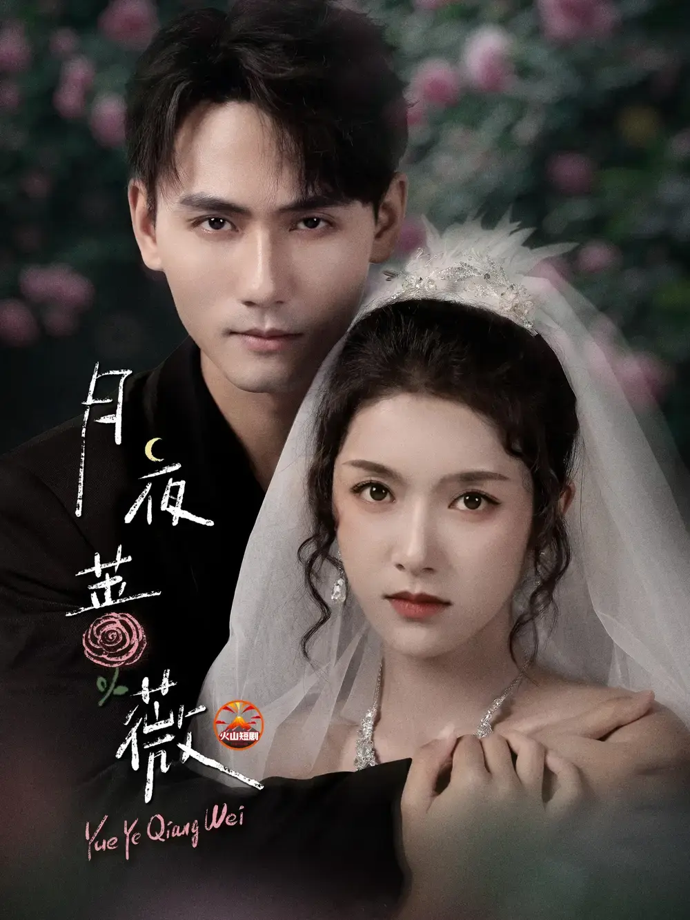 《月夜蔷薇》-资源截图