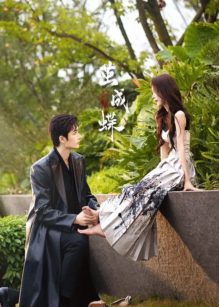 《茧成蝶》-资源截图