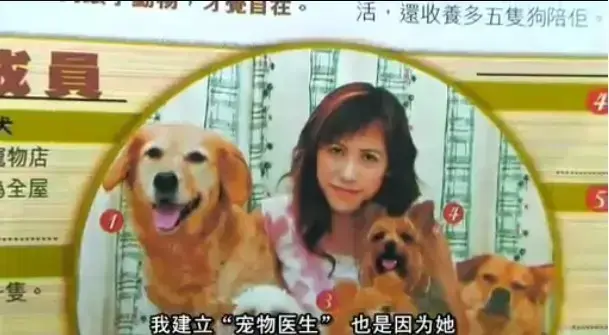欧美电影《女人与狗》无删减正片免费看-女人与狗中文字幕HD高清在线-1080P超清画质全网首发-网盘资源下载支持倍速播放