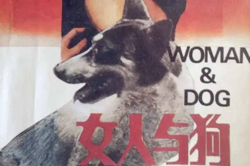 《女人与狗》全季无删减免费看-欧美剧情片女人与狗HD 1080P在线播放-高清无码女人与狗完整版资源