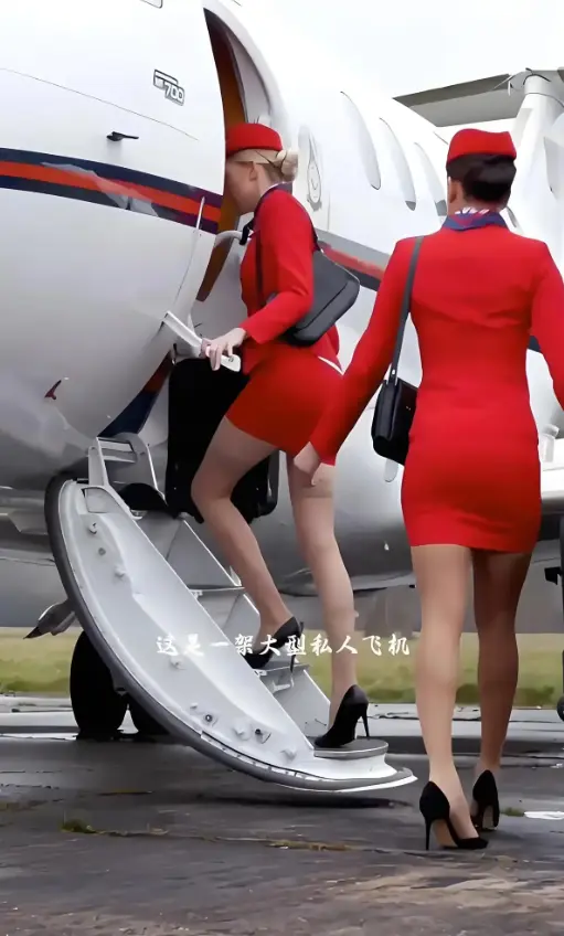 《法国空乘》-法国空乘职场剧 高空密室人性欲望危机-高清中字网盘资源~万米高空欲望救赎