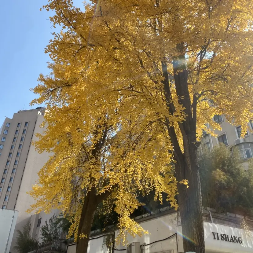 短剧,海城豪门,商业联姻,资源分享相关资源图片