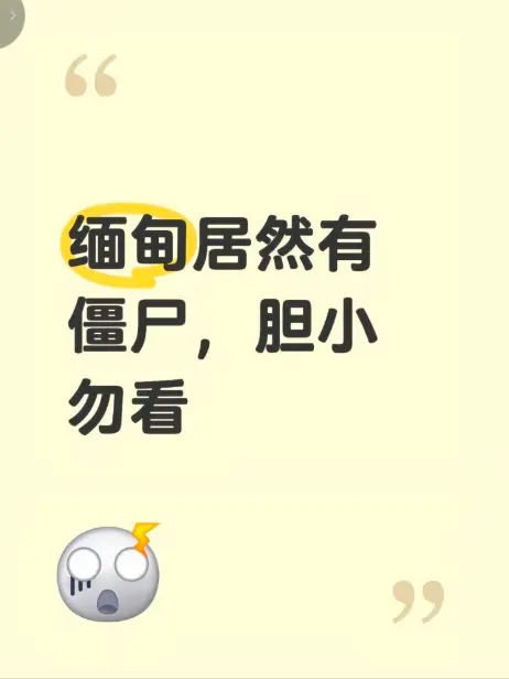 《缅甸僵尸出土事件》最新高清完整版 现场录像揭秘缅北真相 - 免费在线播放