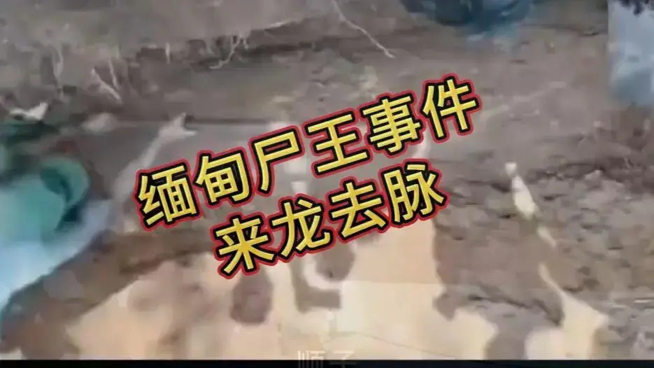 缅甸僵尸出土事件,军方封锁,幸存者口述,实验室机密画面相关资源图片
