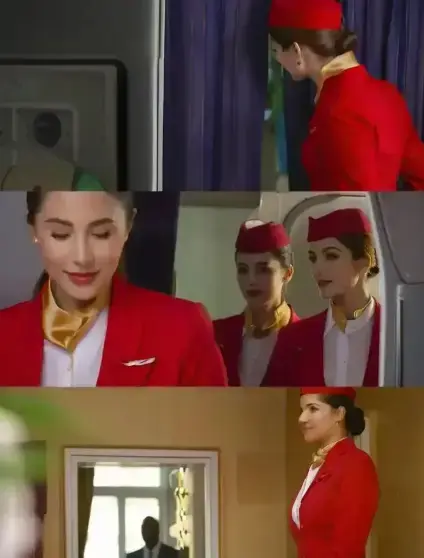 法国空姐,爱情电影,高空服务,分手短信相关资源图片